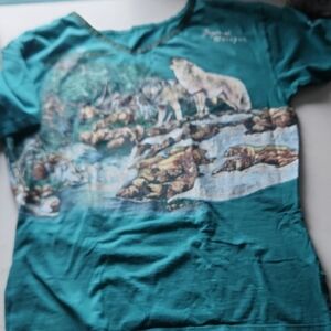 Teal Nature Graphic Men's T-Shirt